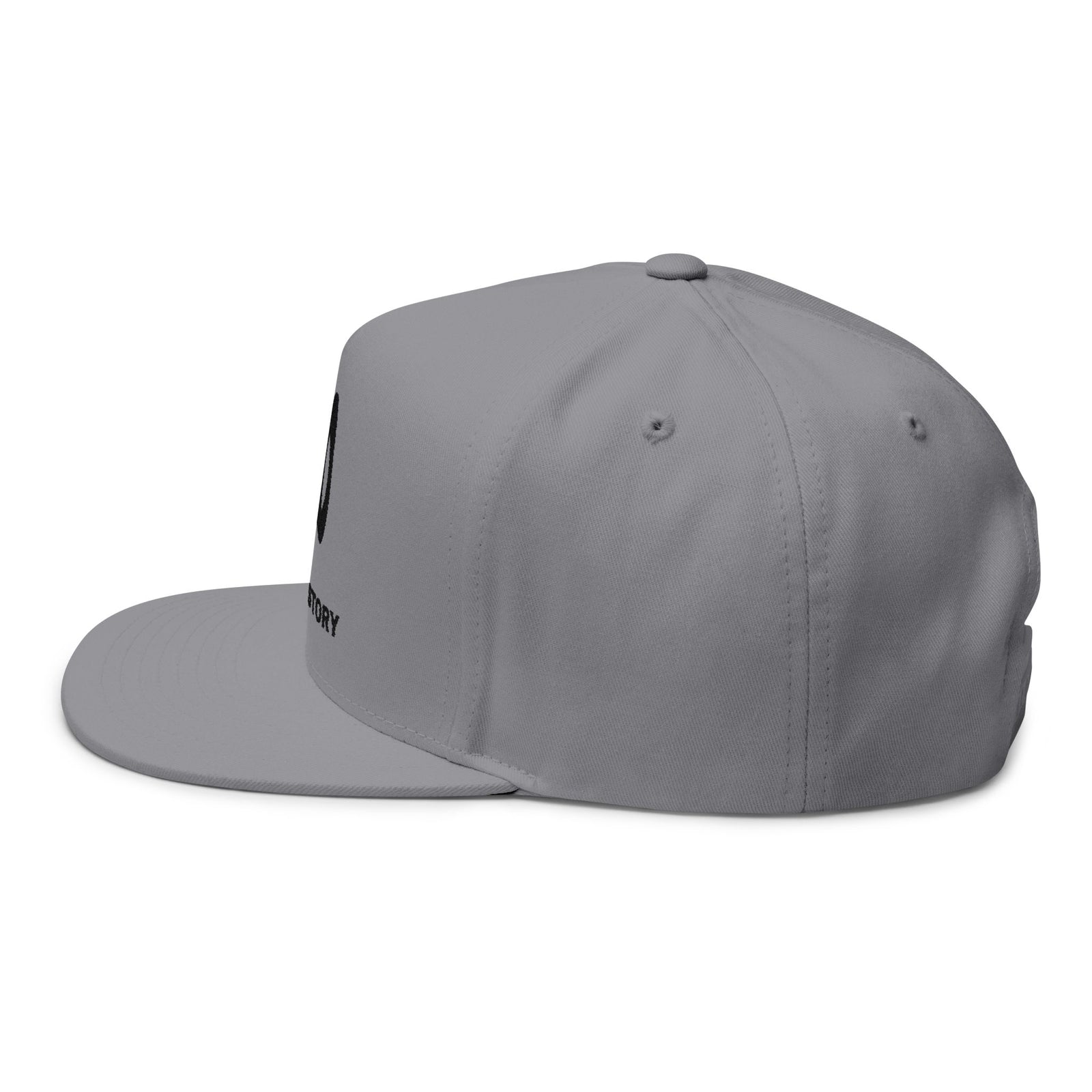 Wear Loud Flat Bill Cap — Street Story Embroidered Snapback